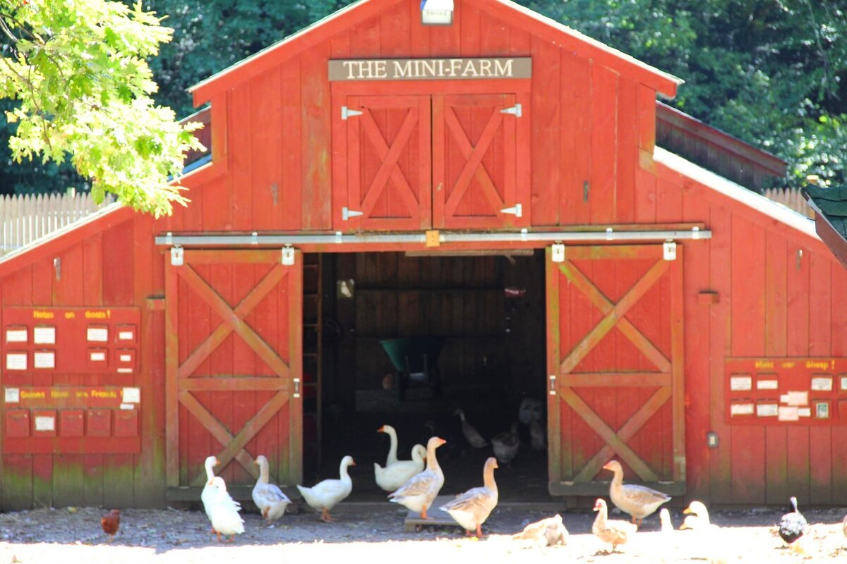 Источник: campjewell.org