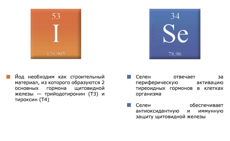 Селен влияние