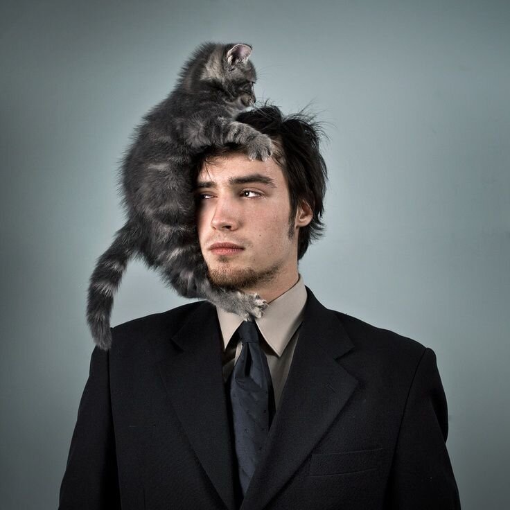 Фото Яндекс картинки