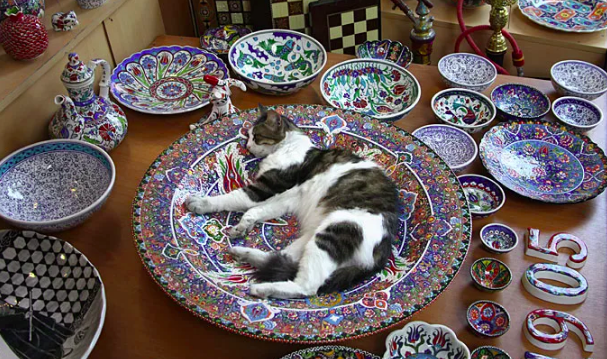 Источник фото: https://farm8.staticflickr.com/