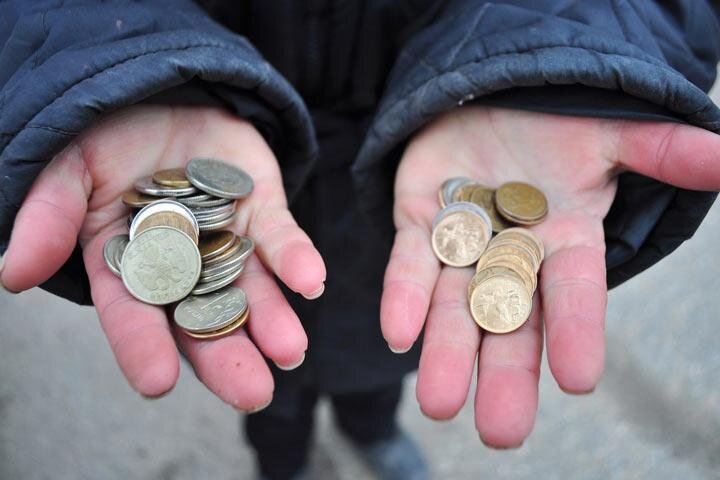 Фото: Thezabor.ru 