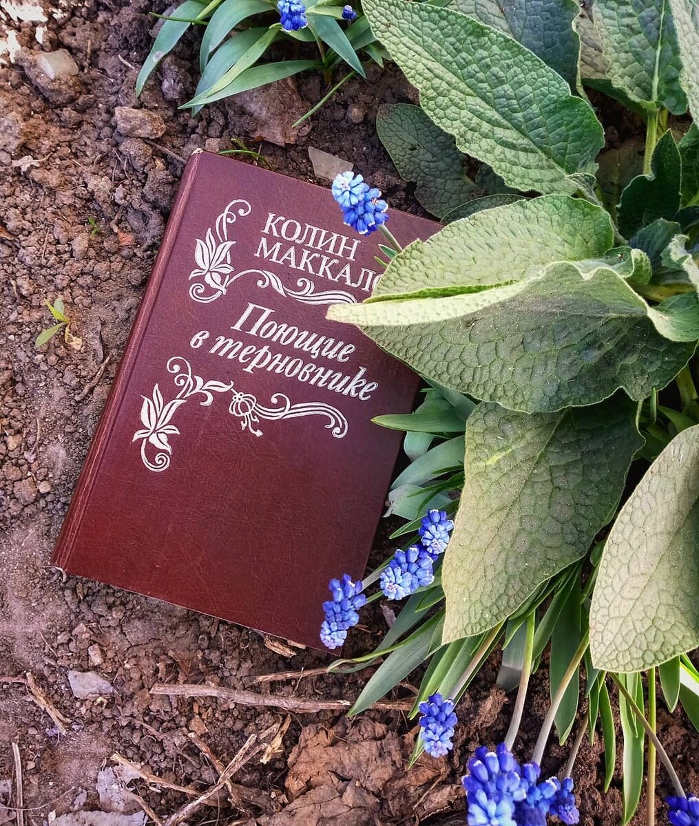 Обложка книги К. Маккалоу "Поющие в терновнике".
