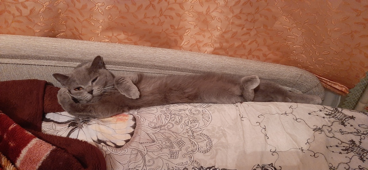Отдых