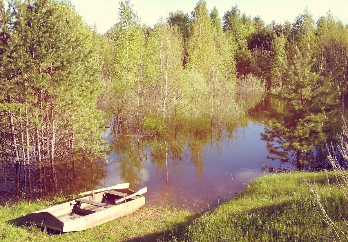 Поселок пруды нижегородская область