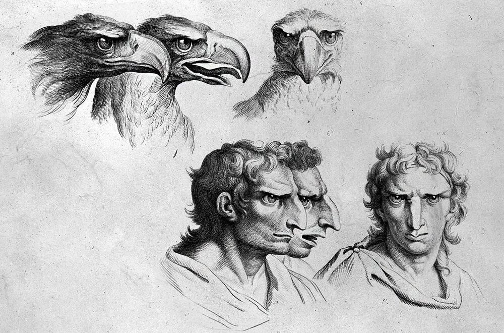 Человек-орел