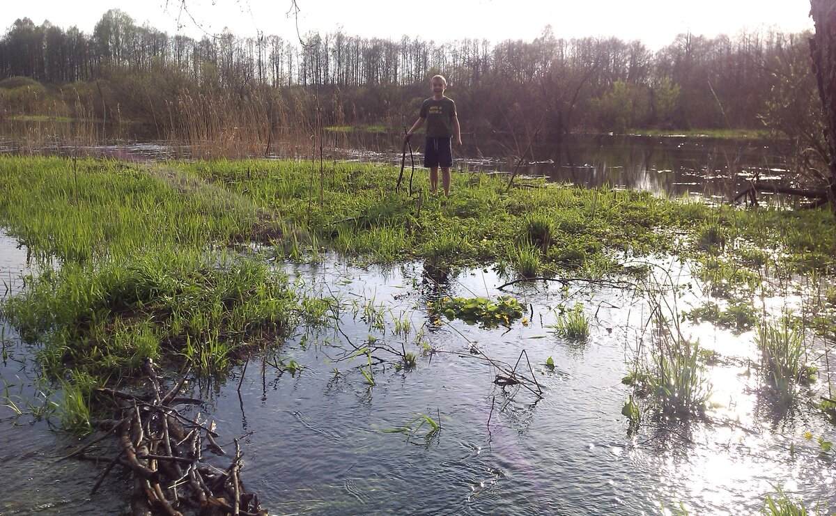 Разлив ... (из моего архива)