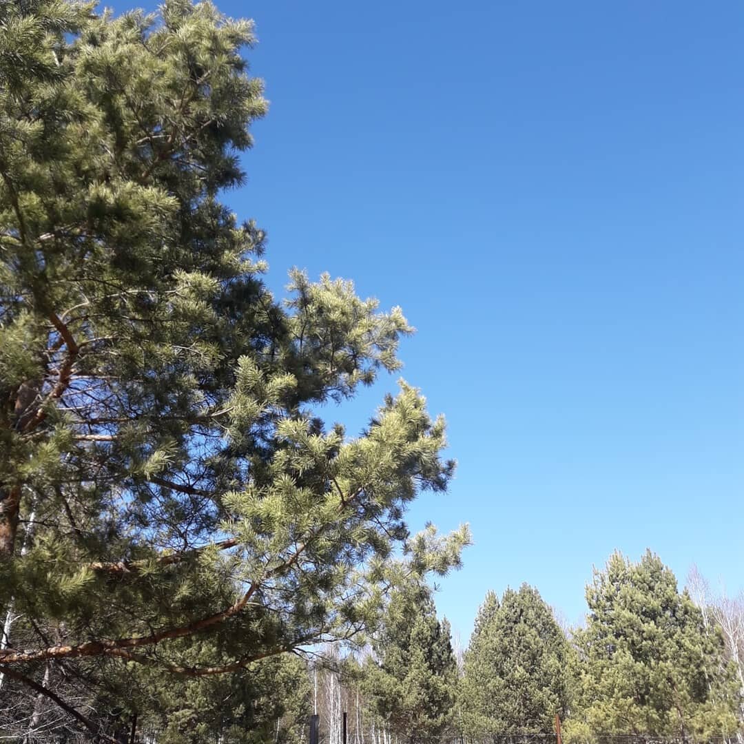 Фото из личного архива