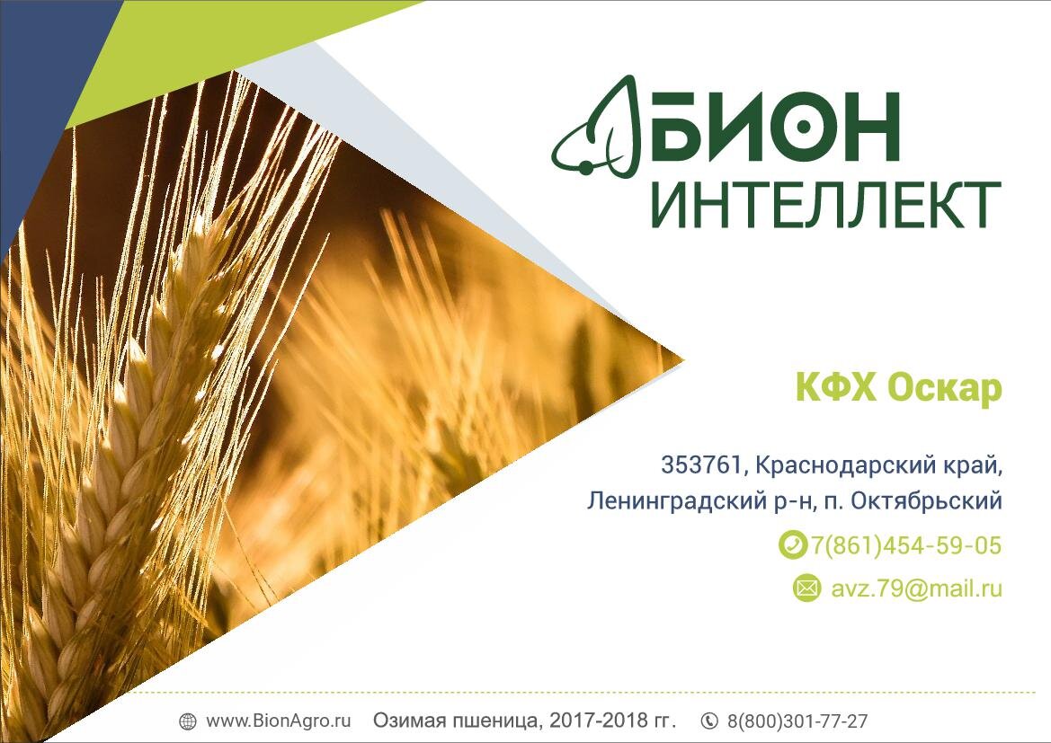 Отчет по озимой пшенице КФХ "Оскар", Ленинградский район 