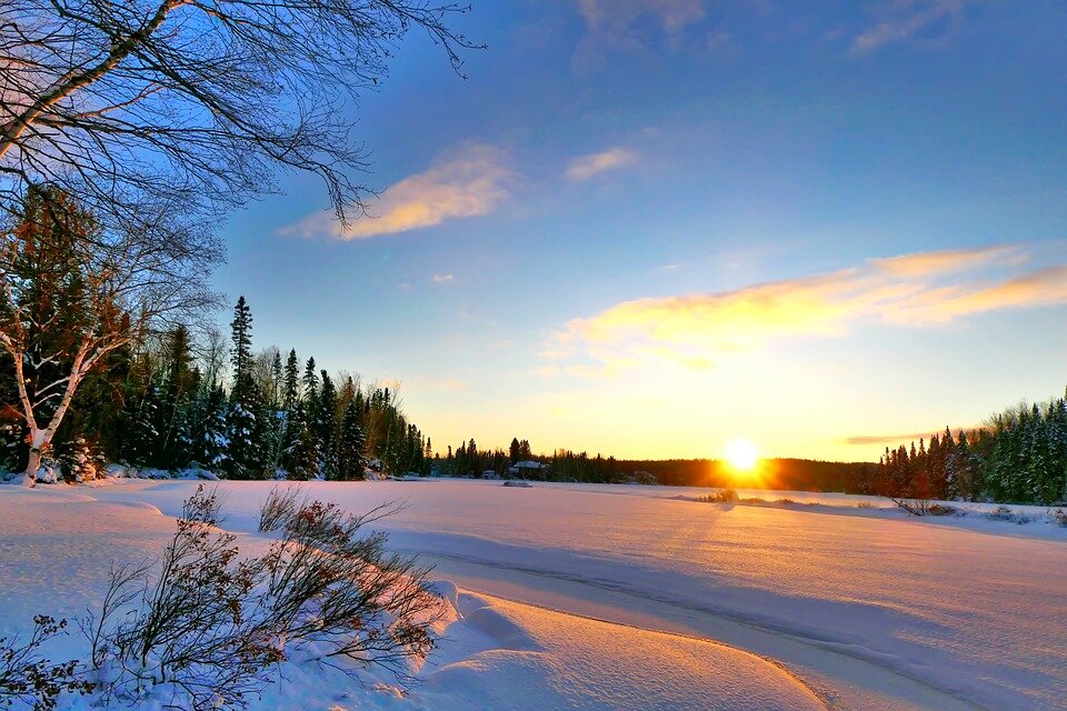  Фото: pixabay.com