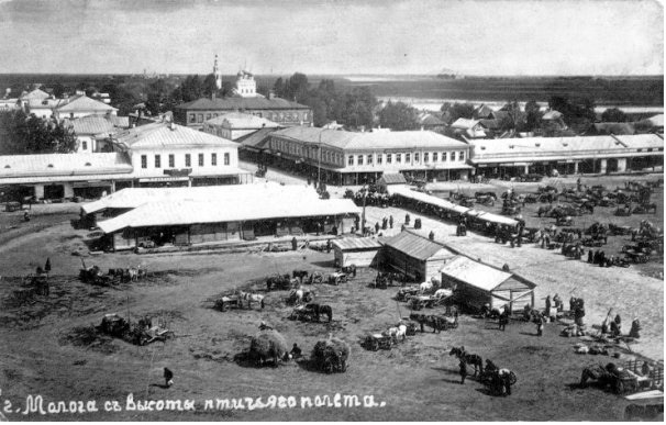 фото из открытого источника