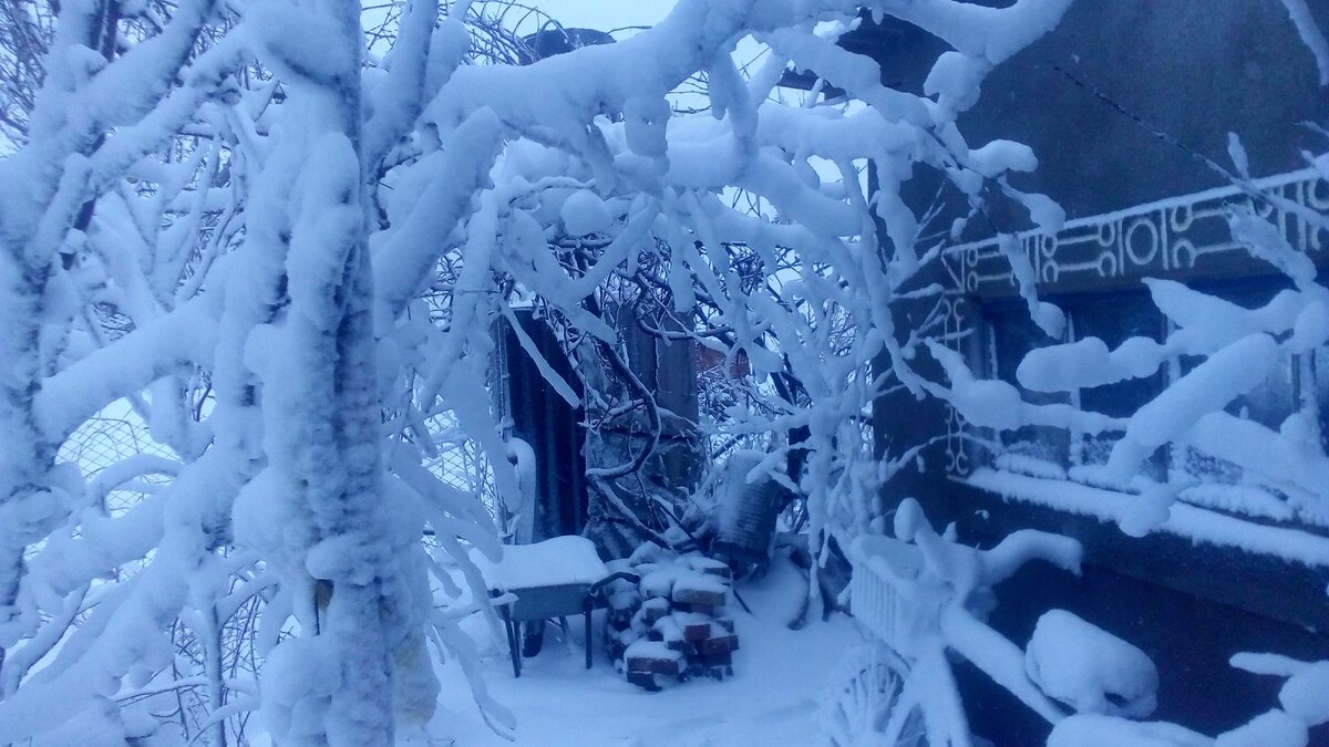 Дорога на хоз. двор