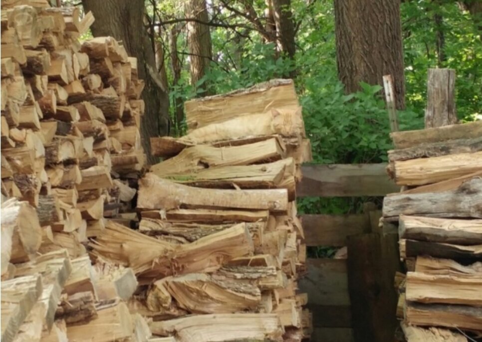 Фото взято из яндекс картинки