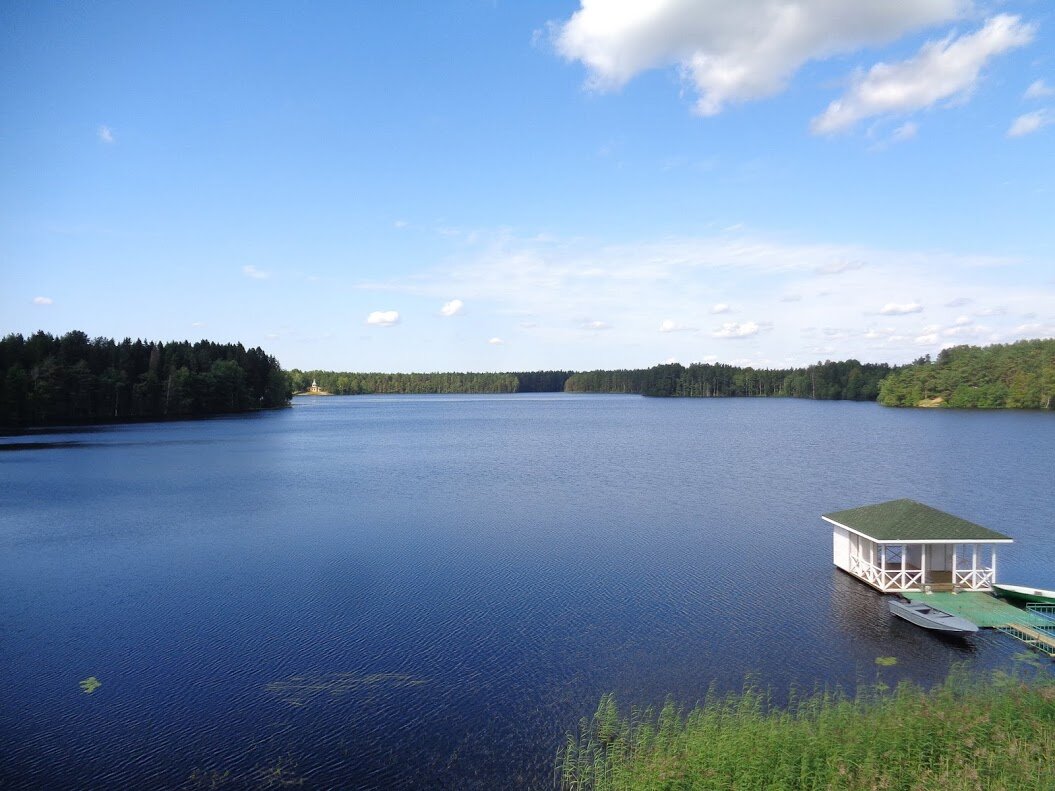 Рощинское озеро ленинградская область. Рощинское озеро в Рощино. Рощинское озеро рыбалка. Озеро Рощинское Ленинградская область пляжи.