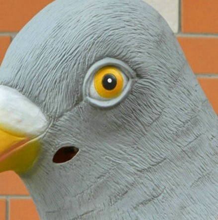 Он за тобой СЛЕДИТ!!!!