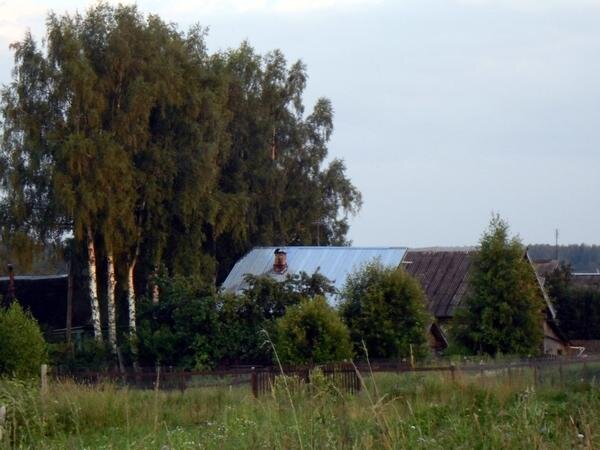 

 И началась совершенно иная жизнь. В деревне совсем другой воздух, и слабость понемногу стала отступать. Тем более, всегда много дел: то за водой на родник сходить, то печку истопить. Да и земля тянет к себе — то травку лишнюю повыдергиваешь, то цветы полить надо. Честно говоря, уже не помню, как я вообще в тот год картошку сажала: помню, что соседка позвонила на второй или третий день после операции, сказала, что в ближайшие выходные будут пахать участки, и поинтересовалась, нужно ли мне вспахивать. Я сказала, что, конечно же, нужно… Дальнейшее из памяти стерлось… Но очень хорошо помню, как окучивала эту картошку, пытаясь управиться левой рукой (правая после операции двигалась очень ограниченно, да и нагружать ее нельзя было)… Потом приехали сослуживцы навестить — и большой компанией (тяпок не хватило, пришлось у соседей занимать :)) мы бодро весь картофельник окучили и устроили пикник с шашлыками)))
Словом, спустя пару недель я чувствовала себя уже почти здоровой, и через месяц на очередном приеме поинтересовалась у врача, не пора ли мне на работу :) Рука разработалась без всяких специальных упражнений: за делами-заботами забываешься, не вспоминаешь о том, что чего-то не можешь. А еще за это время я окончательно поняла, что хочу жить вот так — вдали от города, от пыли и суеты, от соседей и шума за окном. Я поняла, что мне хорошо здесь, в тишине, среди природы, когда под окном сад-огород, а по утрам просыпаешься от того, что поют птицы.
