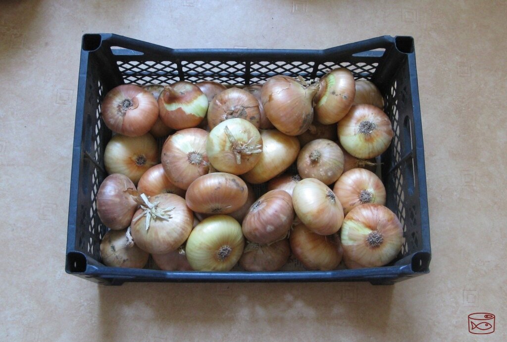 Я даже не знаю, сколько тут кг, точно больше 7 - ящик тяжелее кота