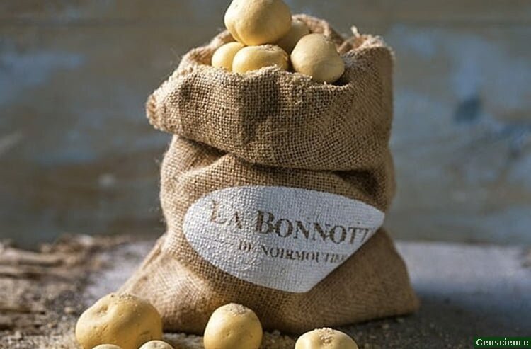 Картофель La Bonnotte
