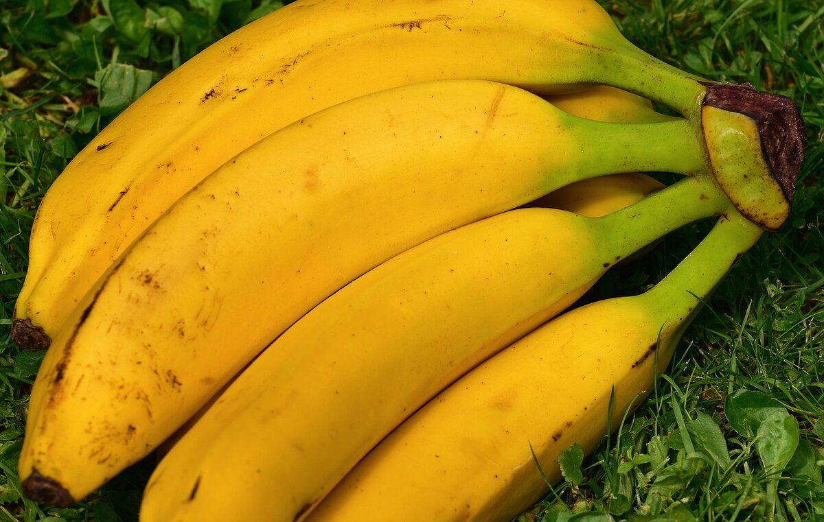 Видео где банан. Бананы Уругвай. Фрукты банан. Овощной банан. Желтый банан.
