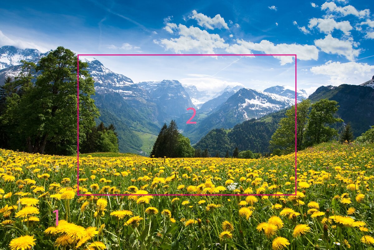 Фотография
