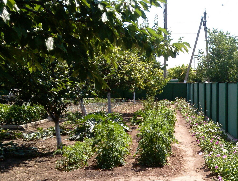 Обряд для защиты двора Авторское фото