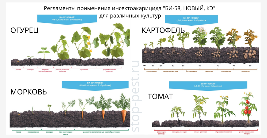 Би 58 опрыскивать. Как разводить би 58 для опрыскивания. Би 58 как разводить. Би 58 от колорадского жука. Би 58 новый инсектицид инструкция по применению.