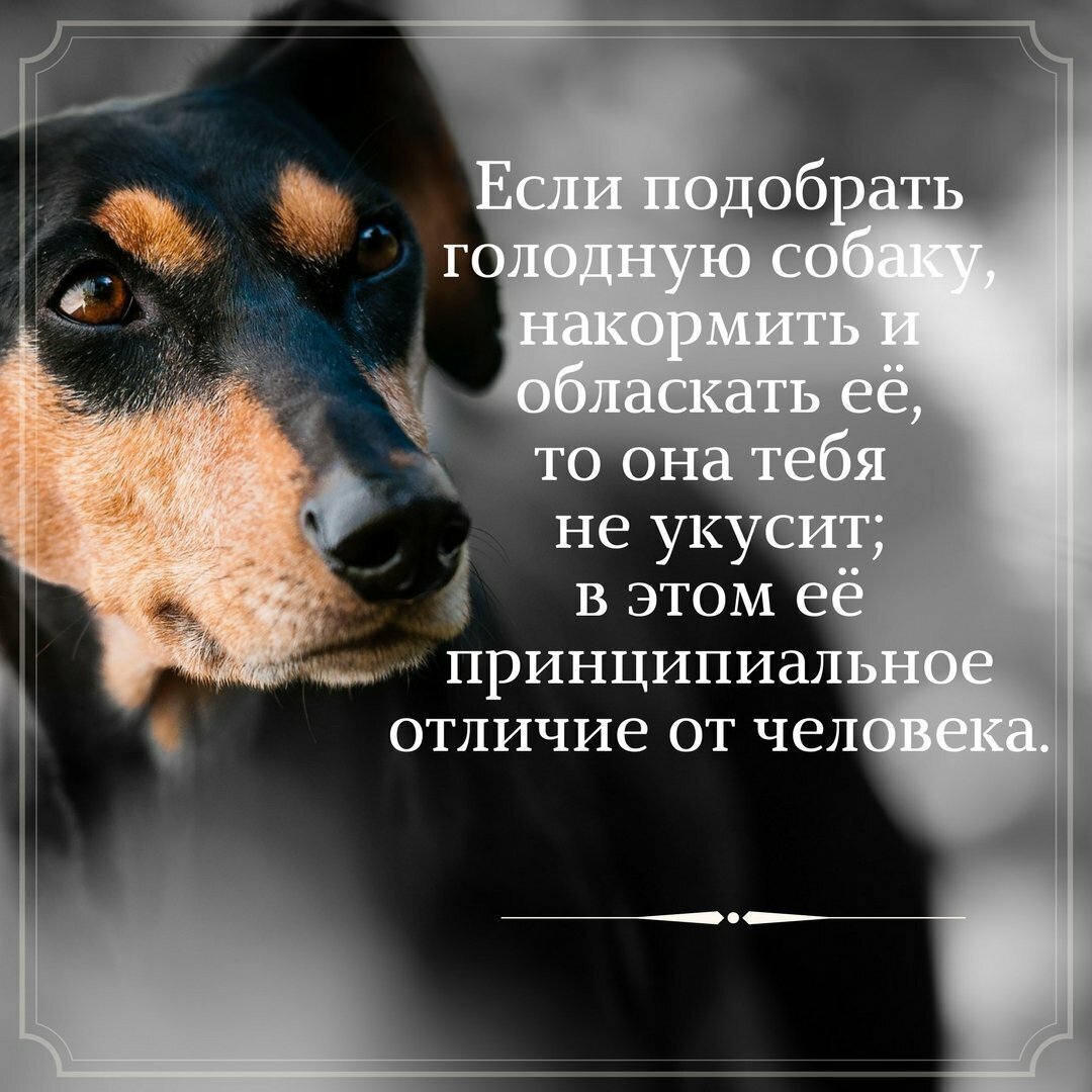 Источник Pixabay.com