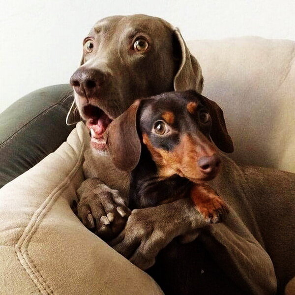  Источник: i.pinimg.com