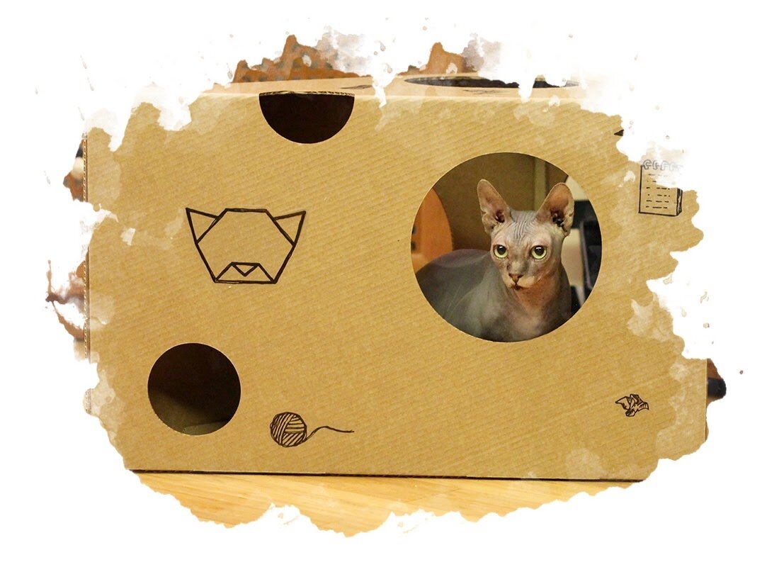 Убежище для питомца