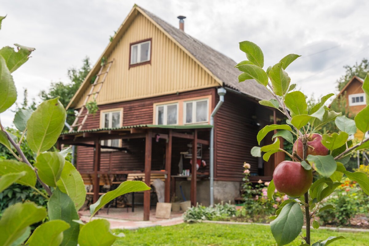 shutterstock.com/Irina Dainakova