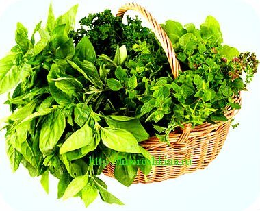  Утро начинайте с приема стакана горячей воды, натощак. За день старайтесь выпивать не менее 2 литров качественной и чистой воды. Пить ее лучше всего небольшими глотками. Вместо воды, питье можно заменить чаями из трав или настоями. Все травы я перечислю в этой статье немного ниже.

У человека пищеварительная система начинается с ротовой полости, поэтому и очищение от шлаков нужно начинать с нее. Не забывайте каждое утро очищать язык, снимать с него налет. Делать это нужно чайной ложкой, двигаясь от корня к кончику языка.

Хорошо периодически полоскать ротовую полость настоями трав. Отлично подойдет для этих целей дубовая кора, настой чистотела. Можно использовать чесночную воду. Небольшой зубчик чеснока очистите, растолките, залейте водой и дайте настояться.

Рекомендуется в течение недели перекатывать во рту ложку растительного масла. Делать это нужно в течение 15 минут, а затем выплюнуть. Масло можно брать любое: подсолнечное или оливковое. Если все сделано правильно, то по окончании процедуры, масло во рту из густого превращается в жидкое, будет иметь белый цвет.

Кишечник очищают от шлаков при помощи трав, используйте такие травы, как корень лопуха, подорожник, клевер красный, плоды шиповника.

Травы помогут Вам нормализовать стул, обладают мочегонными и желчегонными свойствами, борются с дисбактериозом. Кишечник начнет лучше работать, и хорошо всасывать полезные питательные вещества.

Очищение кишечника от шлаковНо не только травы помогают в очищении кишечника. Есть много полезных пищевых продуктов для очищения кишечника.

Отлично выводит шлаки свекла, она считается одним из лучших средств для очищения кишечника. Свекла способна выводить соли тяжелых металлов, нормализовать опорожнение кишечника.

Овощ обладает желчегонными свойствами, положительно влияет на кровеносные сосуды. Об уникальном овоще, и обо всем рецептах из нее Вы можете прочитать здесь.

Возьмите себе на заметку: ешьте ежедневно не менее 100 грамм свеклы. Из вареной свеклы можно приготовить салаты, заправив их растительным маслом или сметаной. Из нее получаются и другие вкусные блюда, которые может приготовить любая хозяйка.

Очищение кишечника следует проводить, придерживаясь определенных правил в питании. Откажитесь на это время от мучных и жирных блюд, сладостей, жирной, жареной и тяжелой пищи. 

Помните, что мясо долго и трудно переваривается организмом, и непереработанные остатки и шлаки с организма выводятся медленно.

Соль употребляйте в малых количествах или не солите вообще. Вместо нее используйте для улучшения вкуса специи и пряности, лимонный и апельсиновый сок, имбирь.

Все сладкие газированные напитки, кофе, крепкий чай, плохо выводят шлаки из организма.

Употребление  свежих овощей и фруктов должно стоять на первом месте, старайтесь подвергать их минимальной кулинарной обработке, чтобы сохранялись ценные свойства продуктов.

Ешьте каши, а для готовки выбирайте крупу с большим количеством клетчатки. К таким кашам относятся перловка, просо, нешлифованный рис. Клетчатка является хорошим средством для очищения от шлаков.

Хлеб замените на цельнозерновой. 

Много времени проводите на свежем воздухе. Когда Вы двигаетесь, усиливается кровообращение, выводятся вредные шлаки из организма.

Все эти простые советы помогут Вам справиться с желудочно-кишечными проблемами. От того как работает кишечник, зависит благополучие всего нашего организма.

Очищение кишечника от шлаков подарит Вам легкость тела,избавит от лишних килограмм. Появится крепкий сон, с утра Вы будете чувствовать себя полными сил и бодрости!

На этом сегодня все мои рекомендации, они действительно простые в использовании.

Наша жизнь- интересная штука, можно найти в ней много удовольствия, не считая еды!