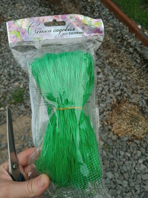 Фото: Романа Образцова. Сетка пластиковая обычная. 