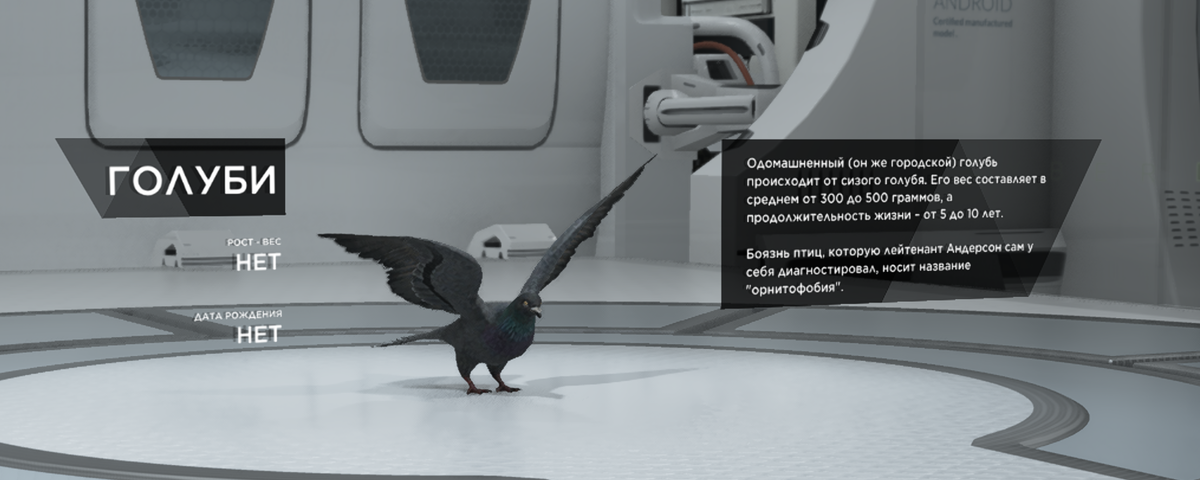 Моделька голубей в галерее. Представлена в четырёх вариациях: обычная, в темноте, во время дождя и снега.