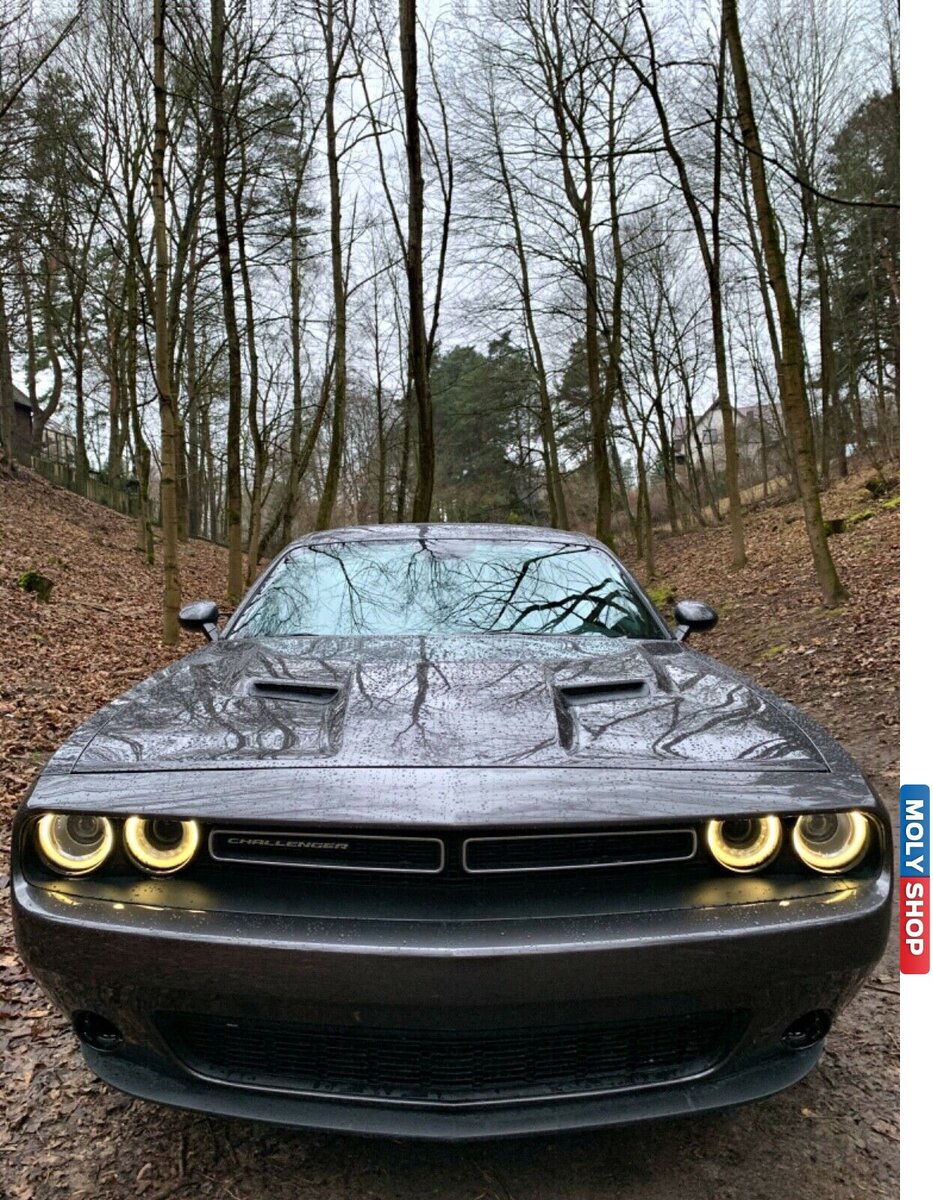 Строгий взгляд исподлобья. Фары ангельские глазки. 