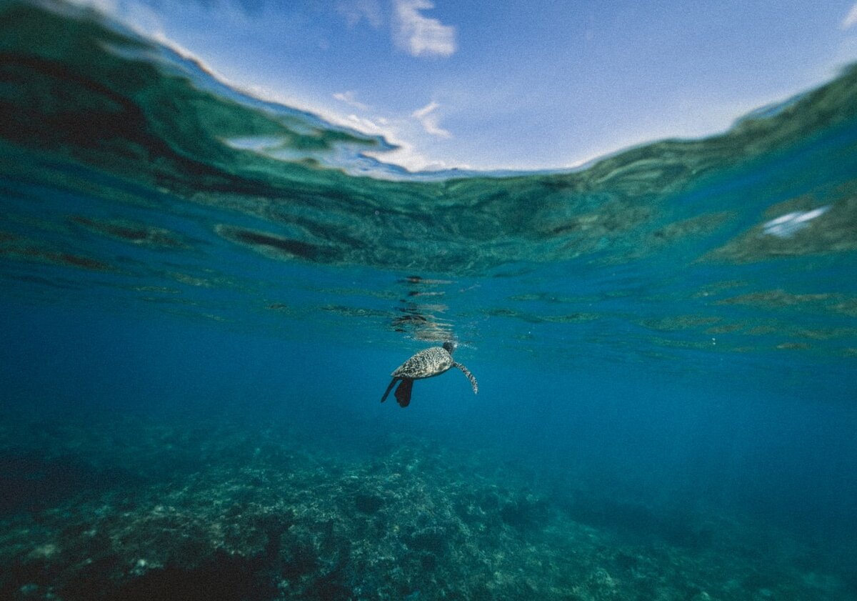 Фото: https://unsplash.com.