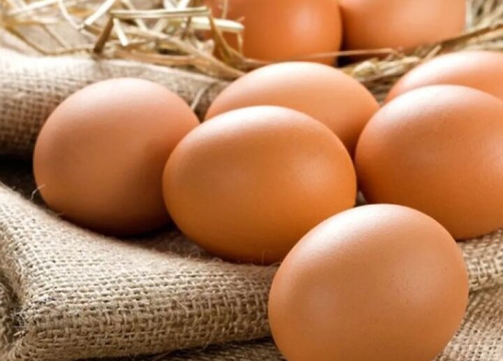 Фото взято из Яндекс Картинки