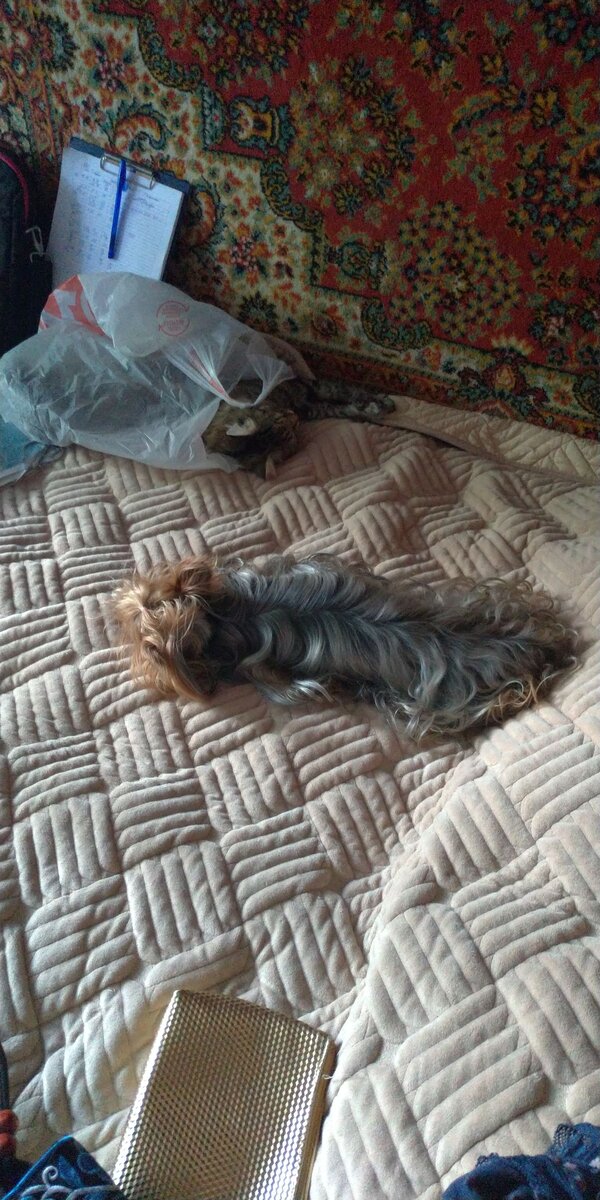 Маруся и Босс