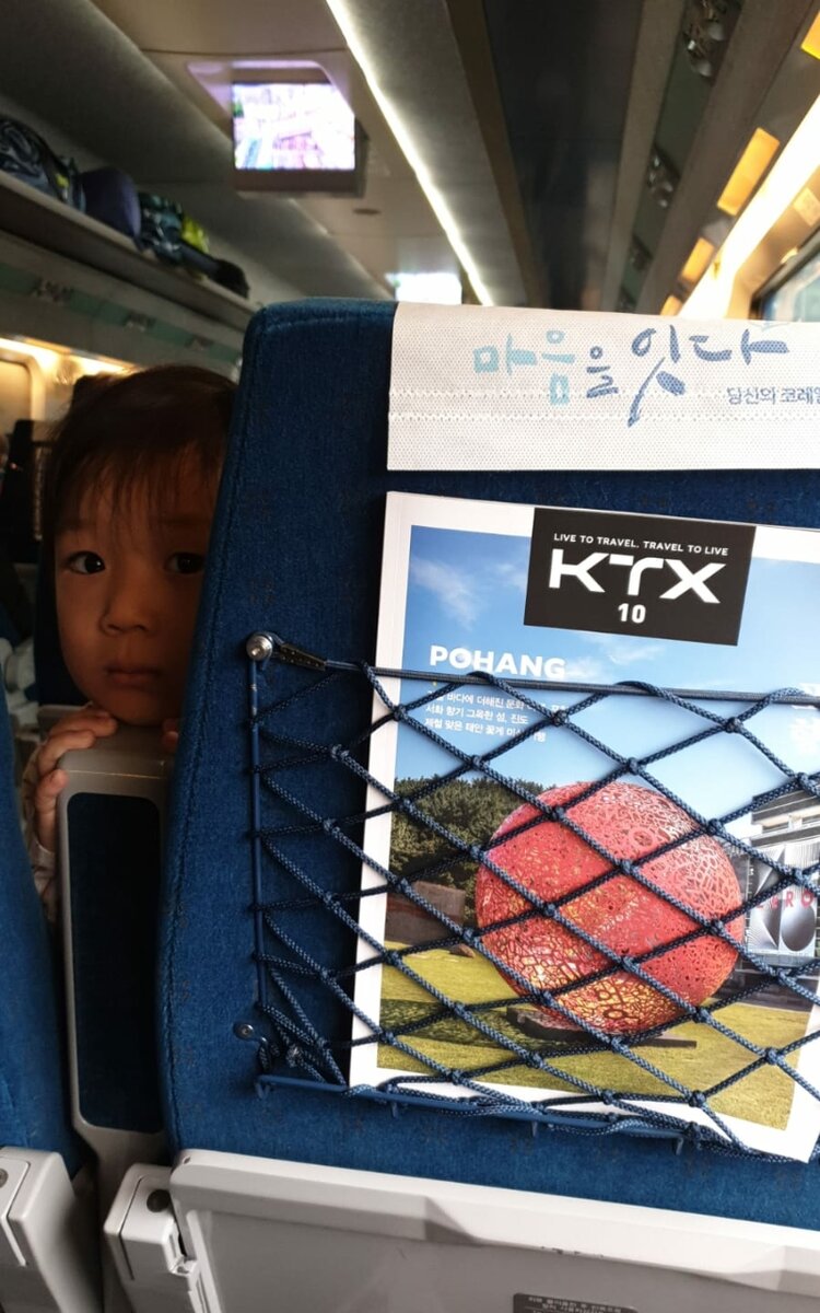 Поезд KTX Сеул-Пхохан