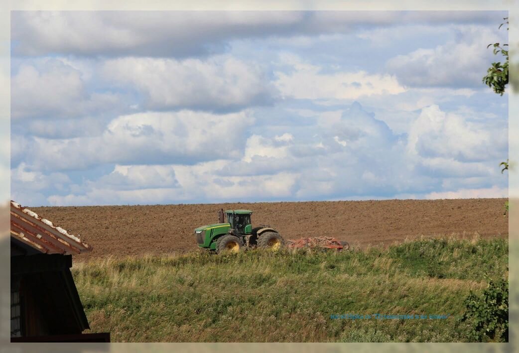 Край совхозного поля