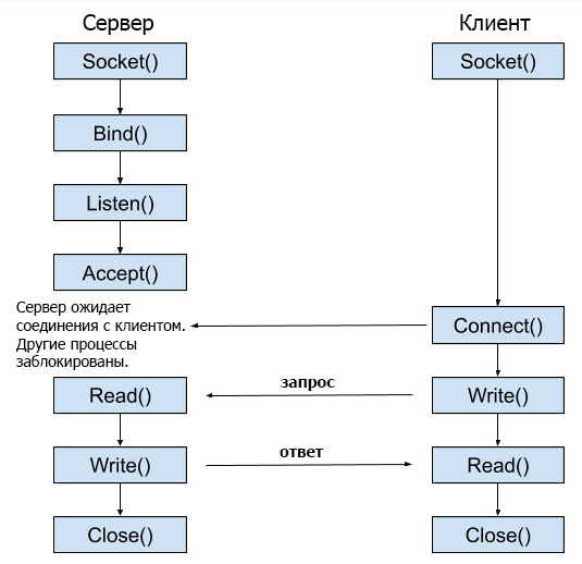 Блок-схема коммуникации TCP-сокета