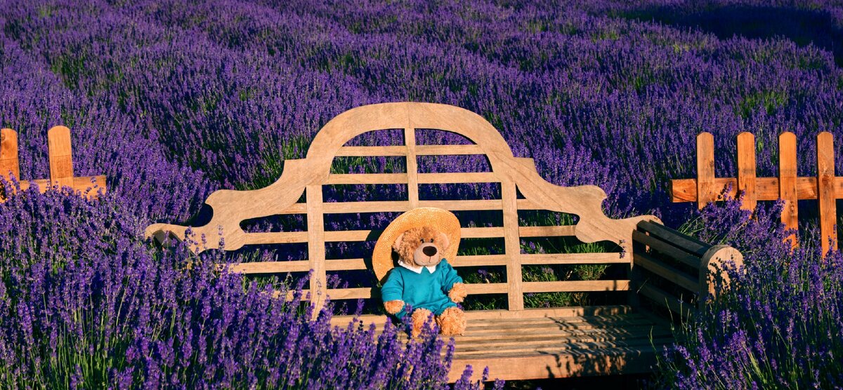 Фото: Unsplash/@vincentwright