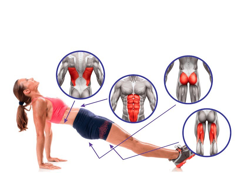 Обратная (задняя) планун