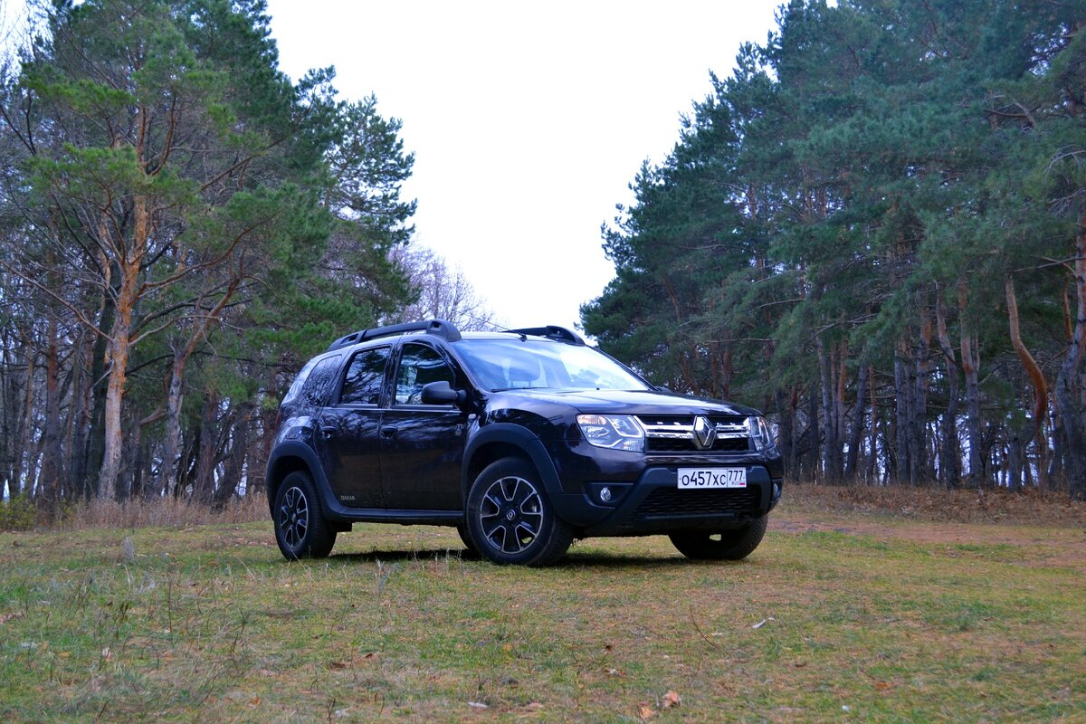 Renault duster плюсы и минусы