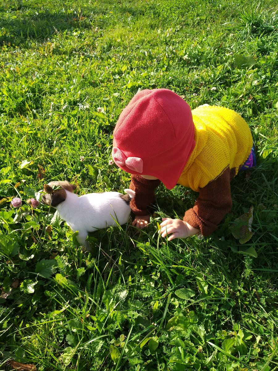 Наши развивашки))) 