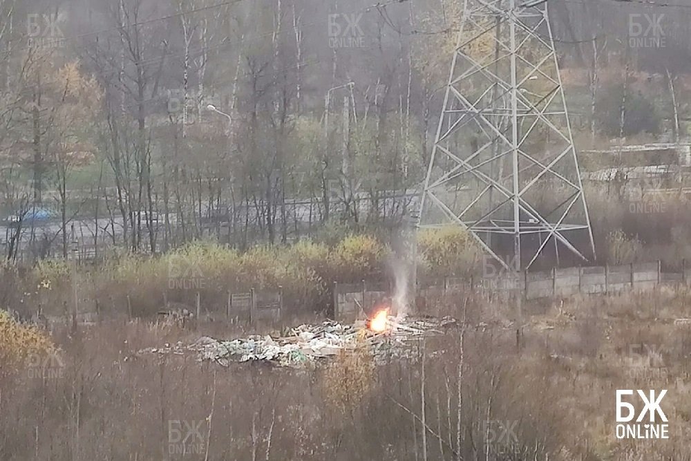 Горящая свалка в Красносельском районе. Источник: ВК-группа "БЖonline | Балтийская Жемчужина" 