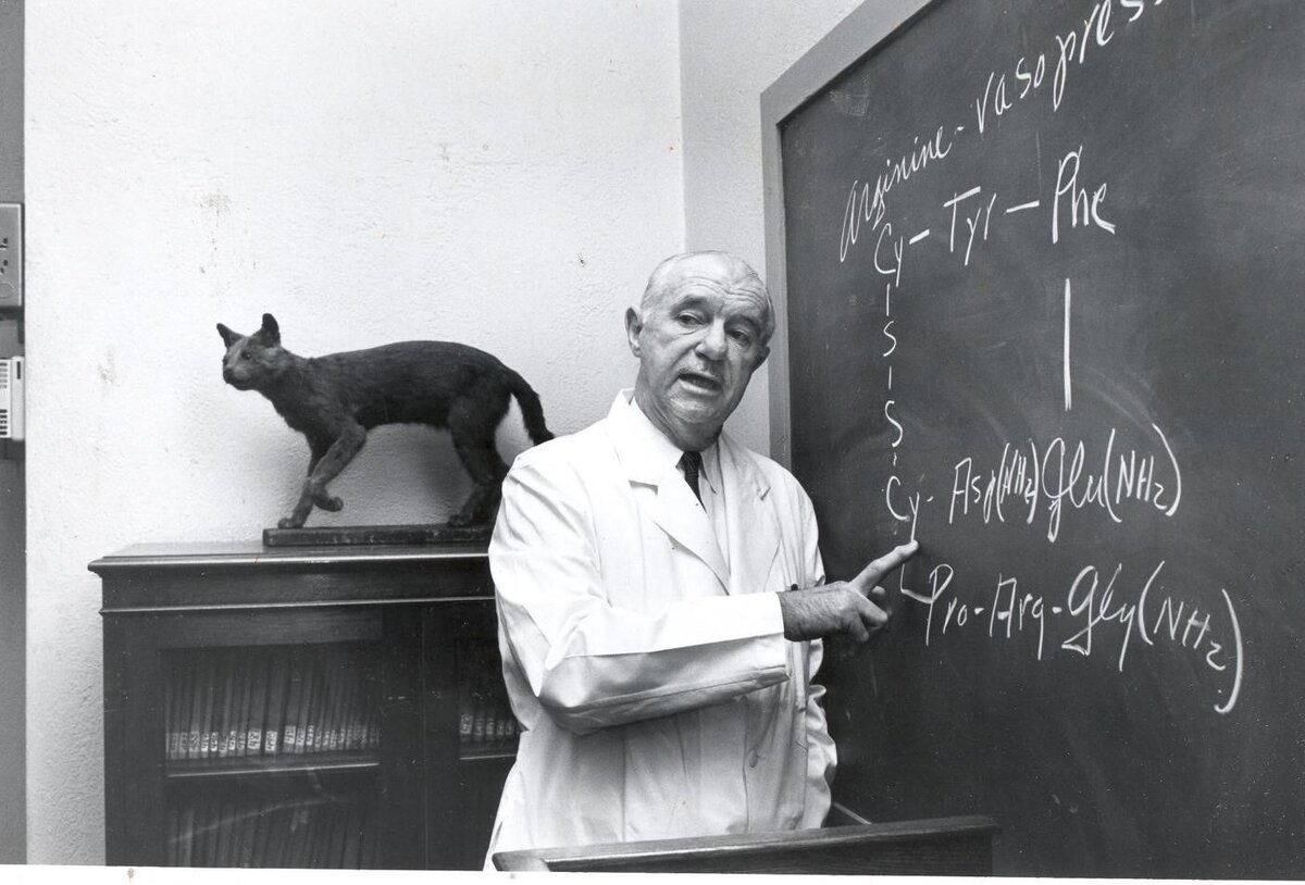 Фото: Винсент дю Виньо (Vincent du Vigneaud)