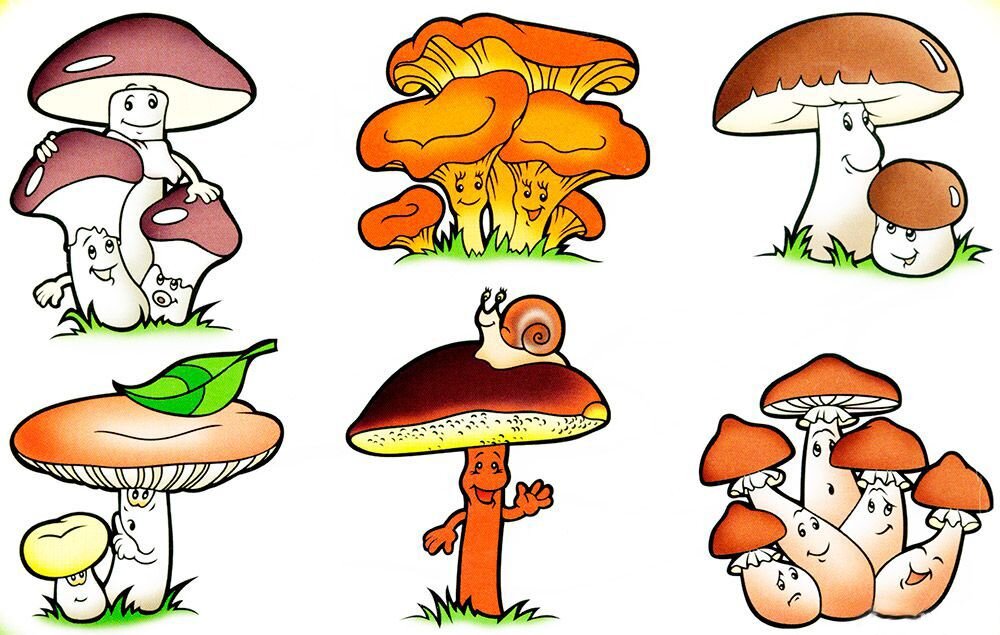 https://pickimage.ru/detskie-risunki/nature/mushrooms/kartinki-gribov/