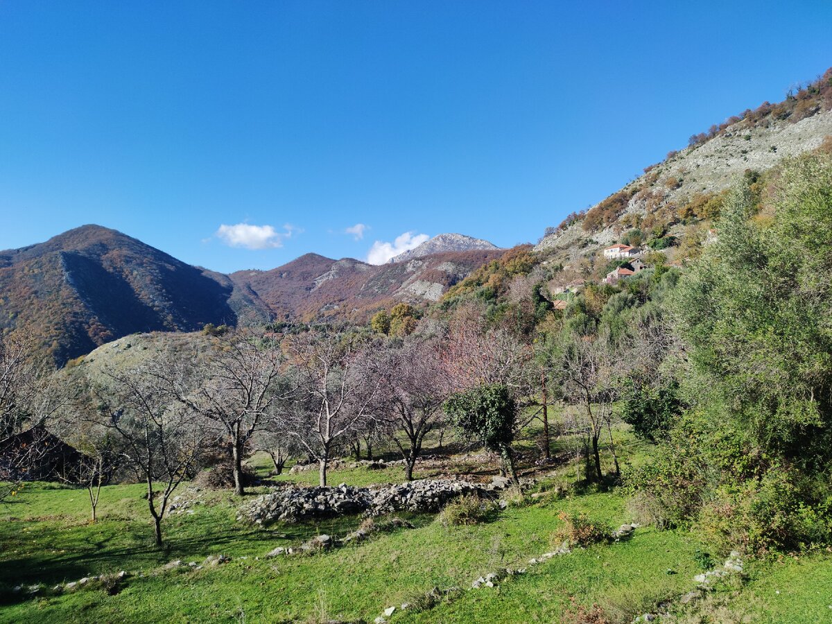 село Биелске Крушевице