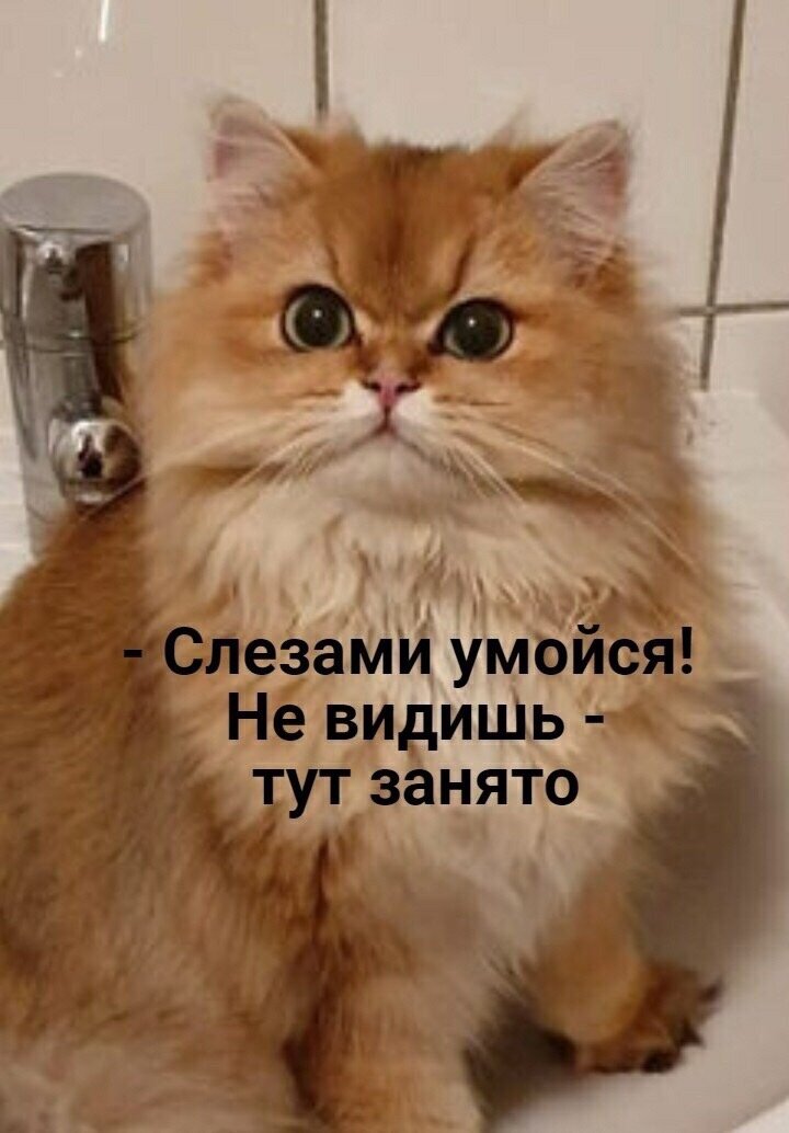 Слезами умылась. Потрите мне спинку. Слава слез умытая печаль. Слава слёз умытая печаль караоке. Слезами умылась.