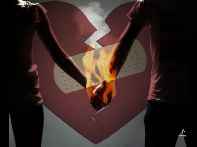 Рви не жалей