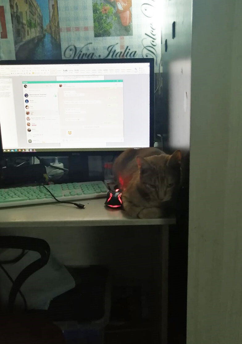 Лежу, притворяюсь, что мне совершенно не интересен компьютер.